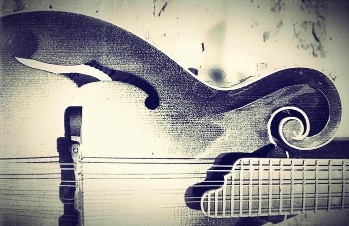 Die Mandoline- Bluegrassinstrumente II